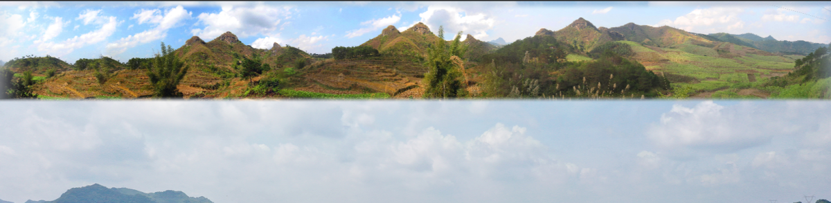 猴子过江及局朝