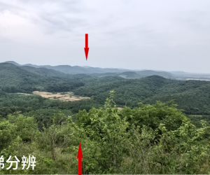 金阶天梯分辨