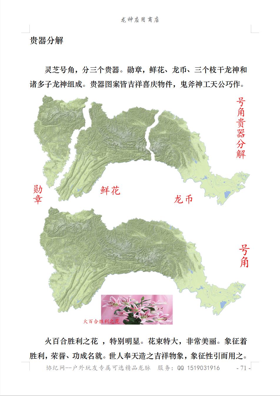 灵芝号角4.jpg