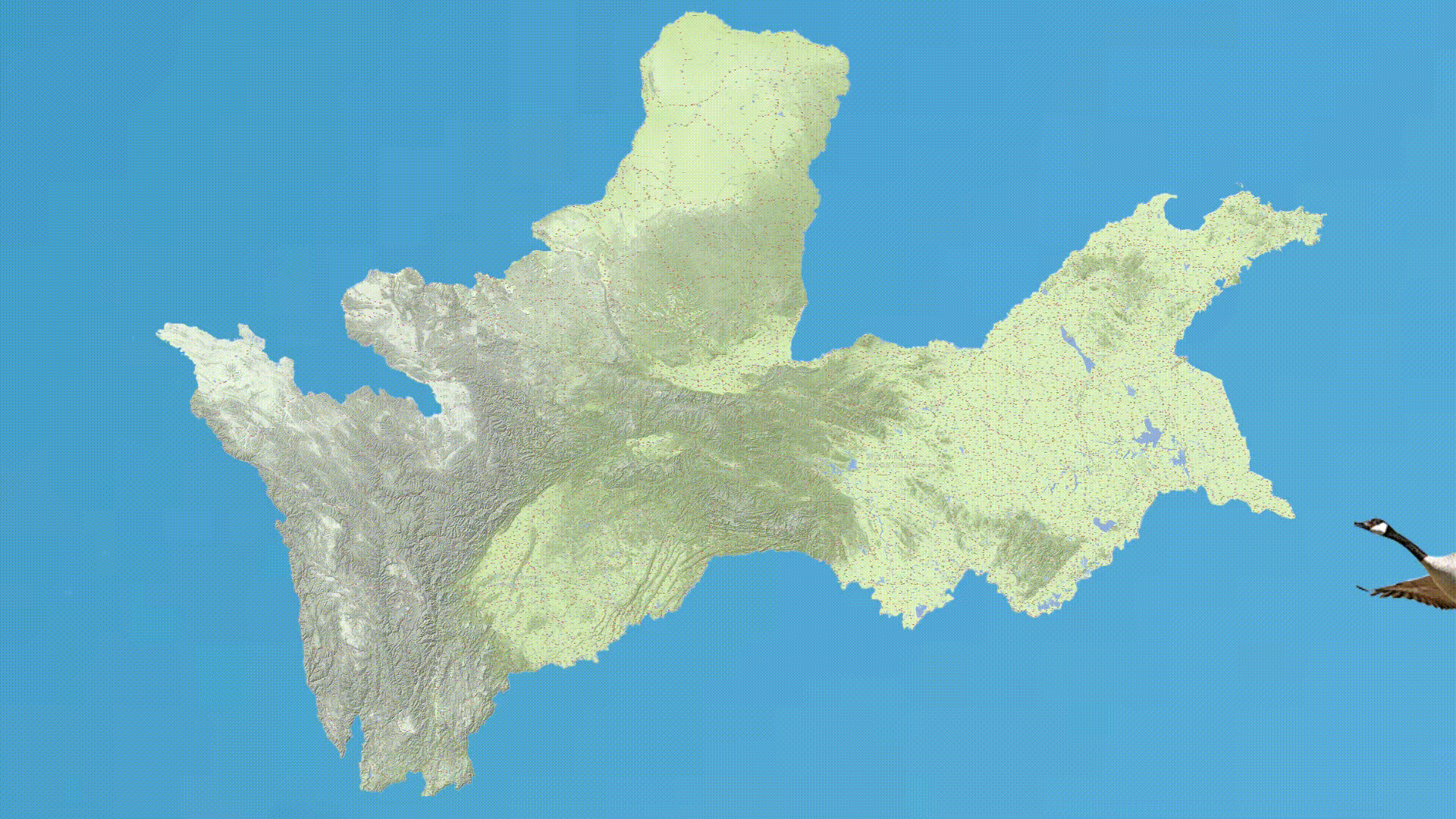 兰花令[00h00m00s-00h00m09s].gif