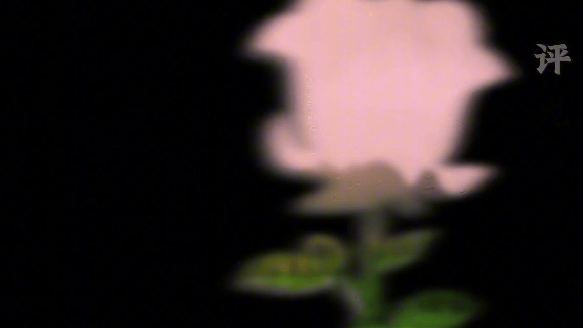 P3-催官第一天皇龙.gif