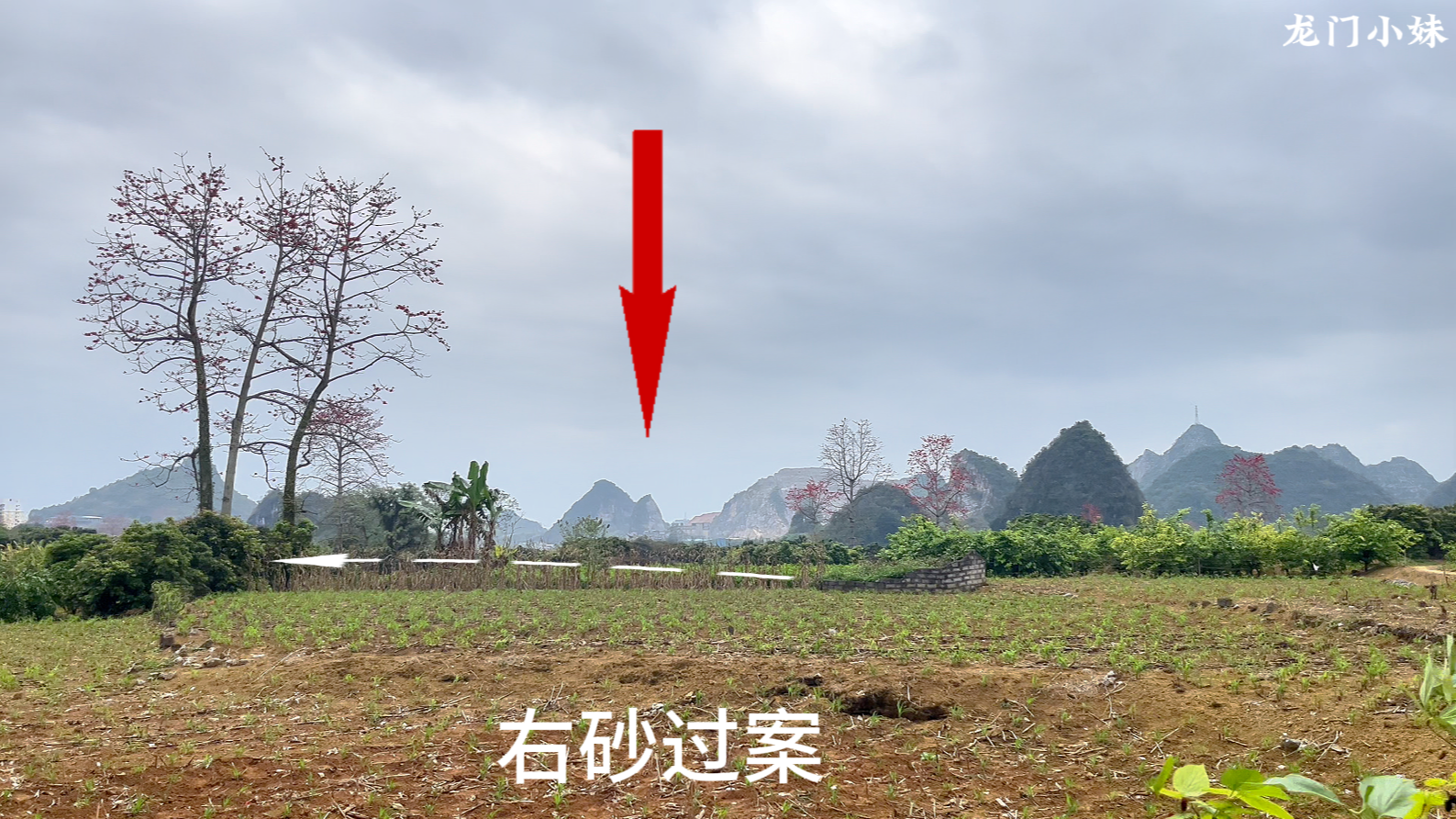 以砂水局朝  认定穴位法1.png