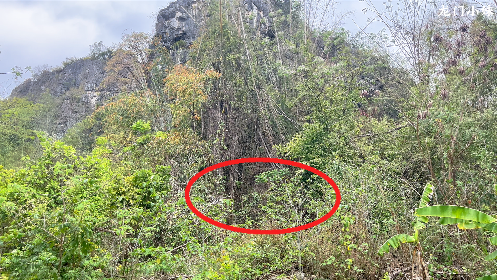 以砂水局朝  认定穴位法2.png