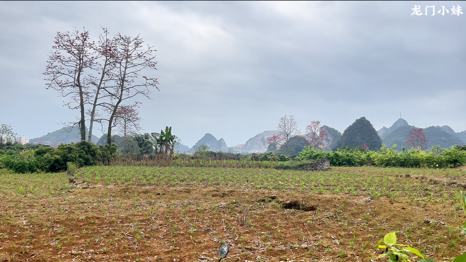 以砂水局朝  认定穴位法4.png