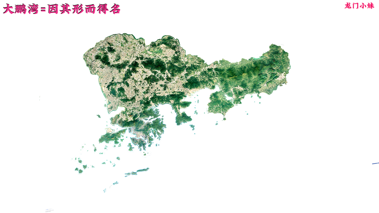 深圳-大鹏币3.png