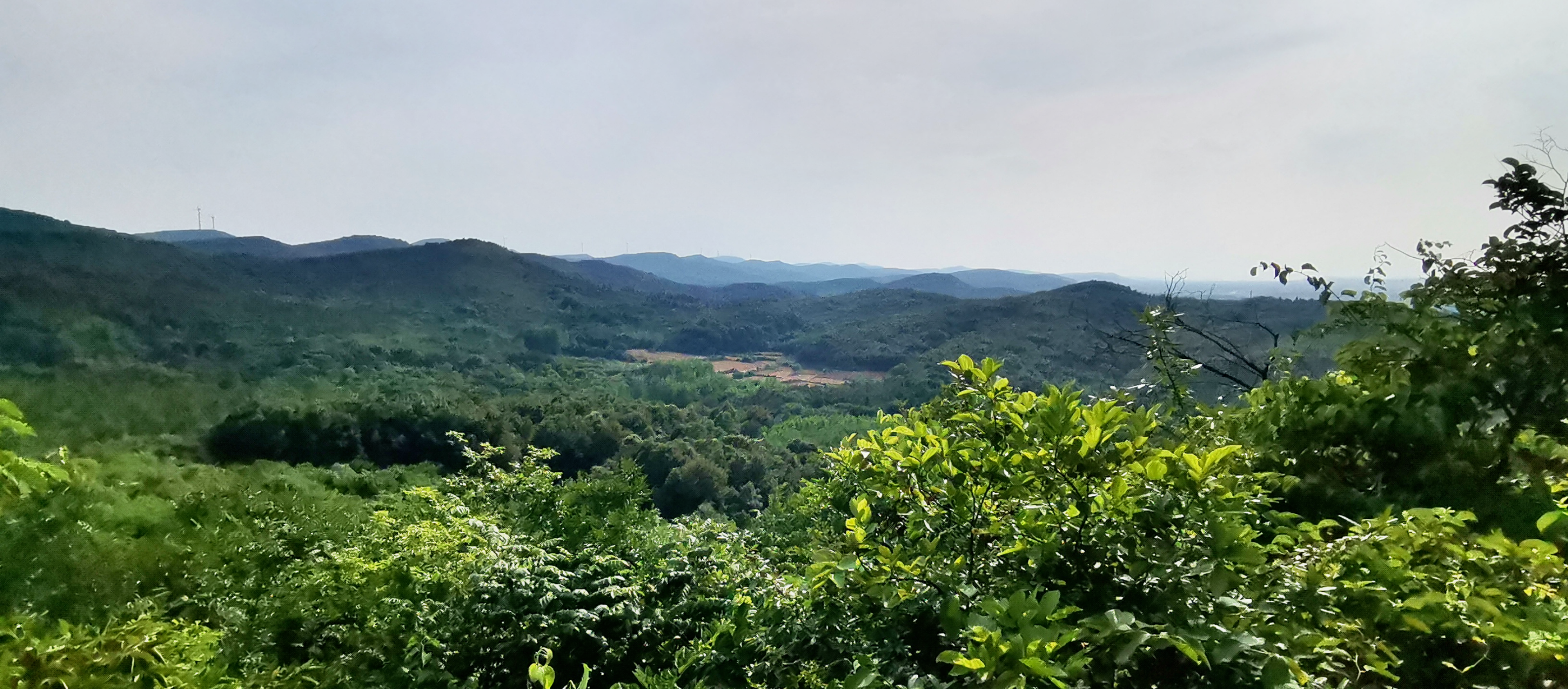平原丘陵龙局,震卦卯龙入首、甲山庚向兼卯酉分金3.png