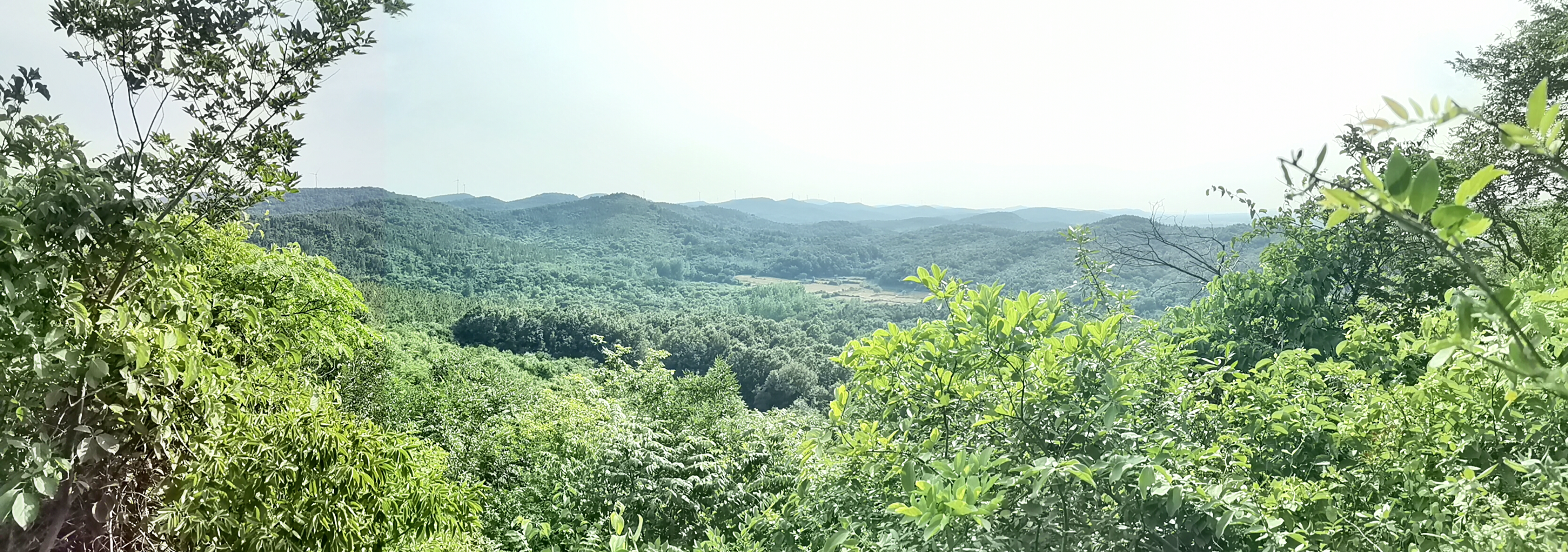 平原丘陵龙局,震卦卯龙入首、甲山庚向兼卯酉分金6.png