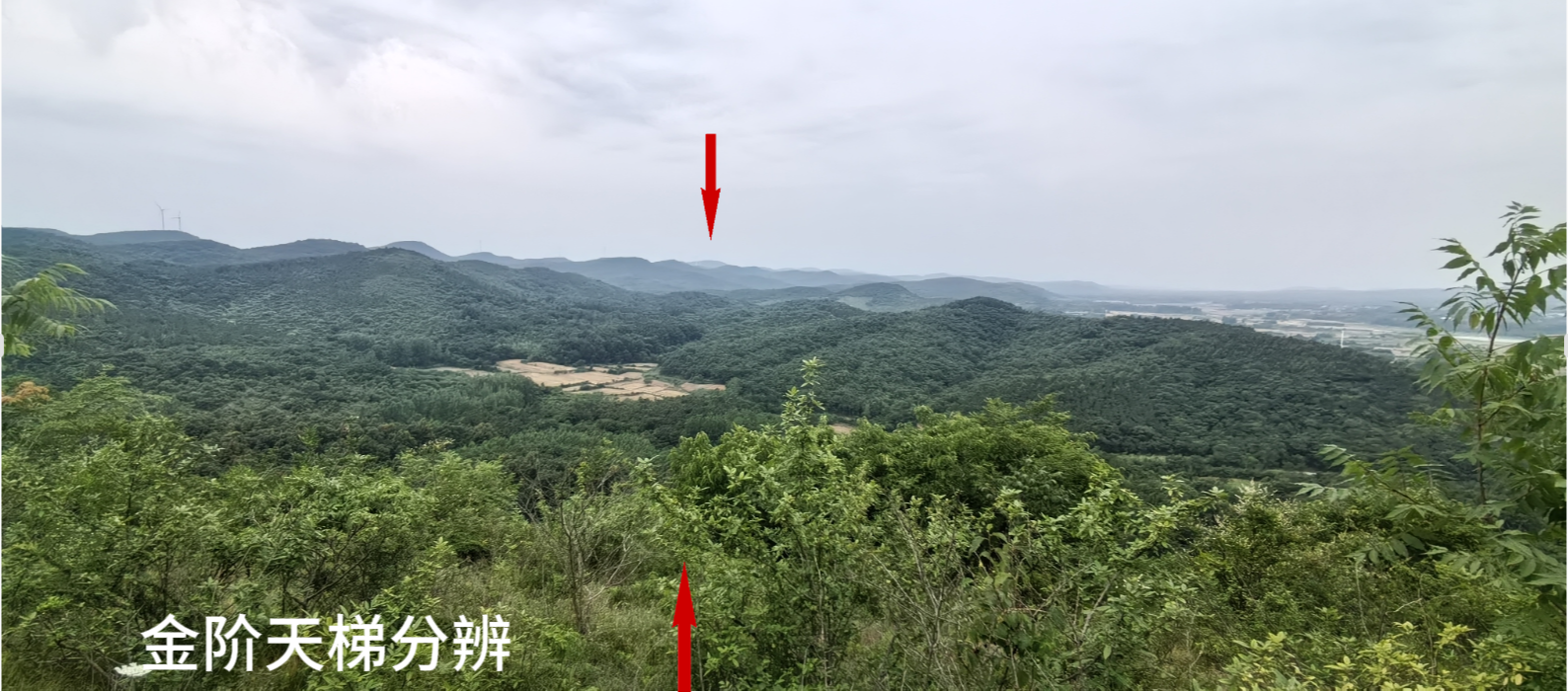 金阶天梯分辨1.png