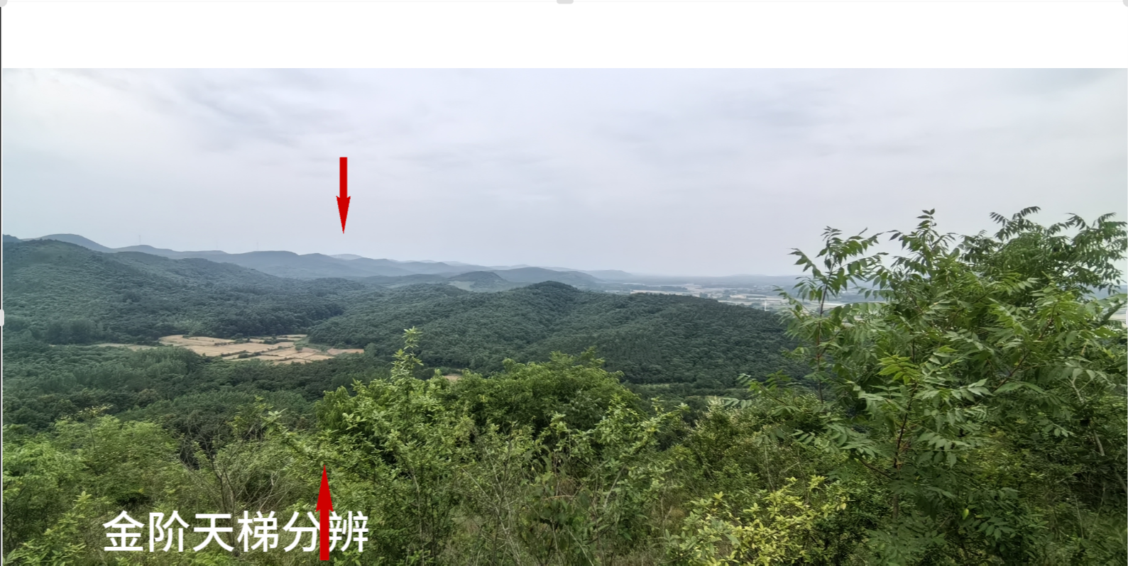 金阶天梯分辨2.png