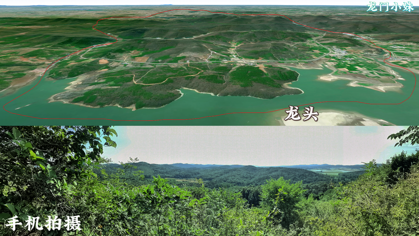 拍龙局2.png